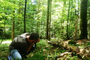 photoshooting-of-untouched-jungle